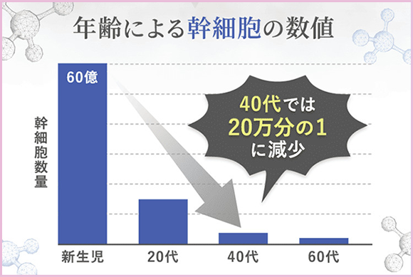 幹細胞減少のグラフ